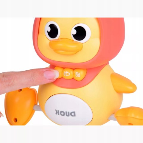 Interaktywna kaczka z maluchem na magnes dla dzieci nauka raczkowania