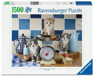 Puzzle 1500 Kittens in the Kitchen