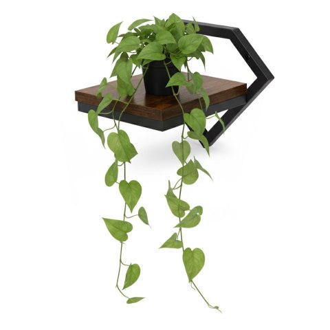 KWIETNIK ŚCIENNY PÓŁKA WISZĄCA NA KWIATY OZDOBY LOFT DIAMENT MODERNHOME