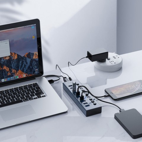 Hub BT2U3-16AB z włącznikami 16x USB-A - szary