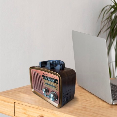 Radio FM pokojowe kuchenne przenośne na baterie Bluetooth USB SD