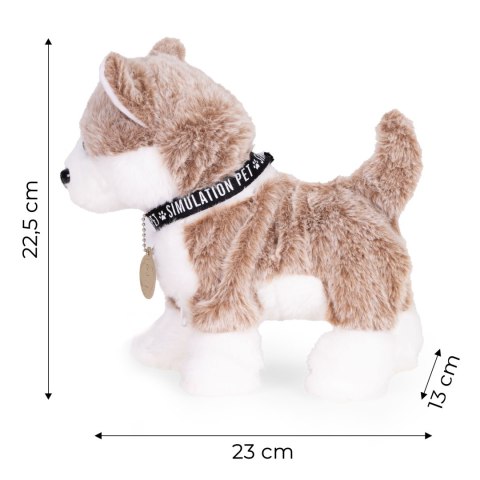 Interaktywny piesek na smyczy husky chodzi i merda ogonem melodyjki