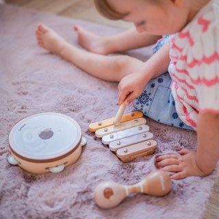 VIGA PolarB Zestaw Instrumentów Muzycznych Z Ptaszkiem