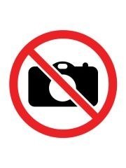 Puppu Luv. Piesek interaktywny Cookie