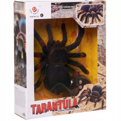 Duży pająk zdalnie sterowany na pilot chodzi jak prawdziwy, duża Tarantula