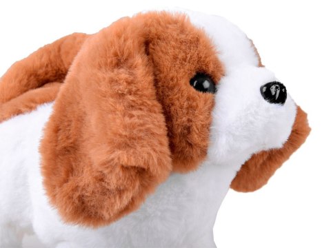 Interaktywny piesek beagle + karma + transporter akcesoria ZA4354