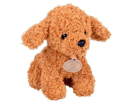 Drewniany szpital dla zwierząt Weterynarz dla dzieci piesek pluszowy ZA5939